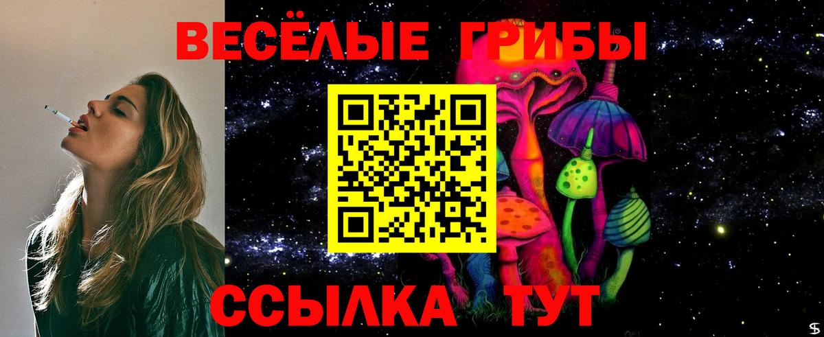 Псилоцибиновые грибы прущие грибы Торжок